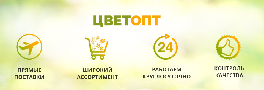 Преимущества ЦветОПТ Преимущества ЦветОПТ